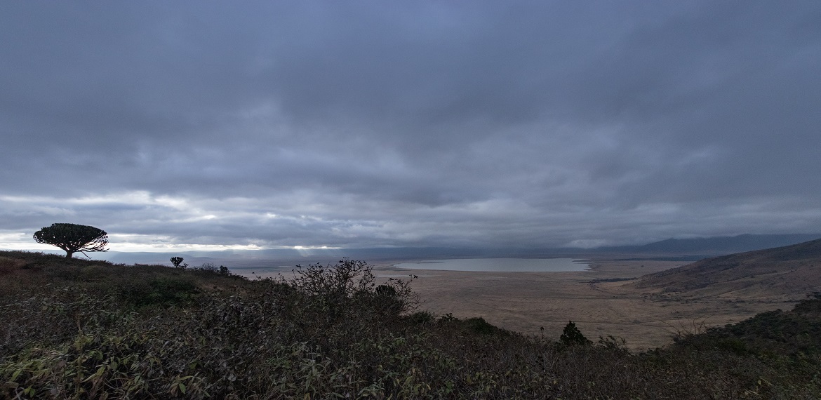 5 Days Mountain Kilimanjaro Climb VIA Rongai Route and Descending Down VIA Marangu Route